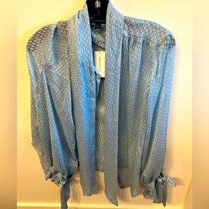 Blue Sheer Blouse